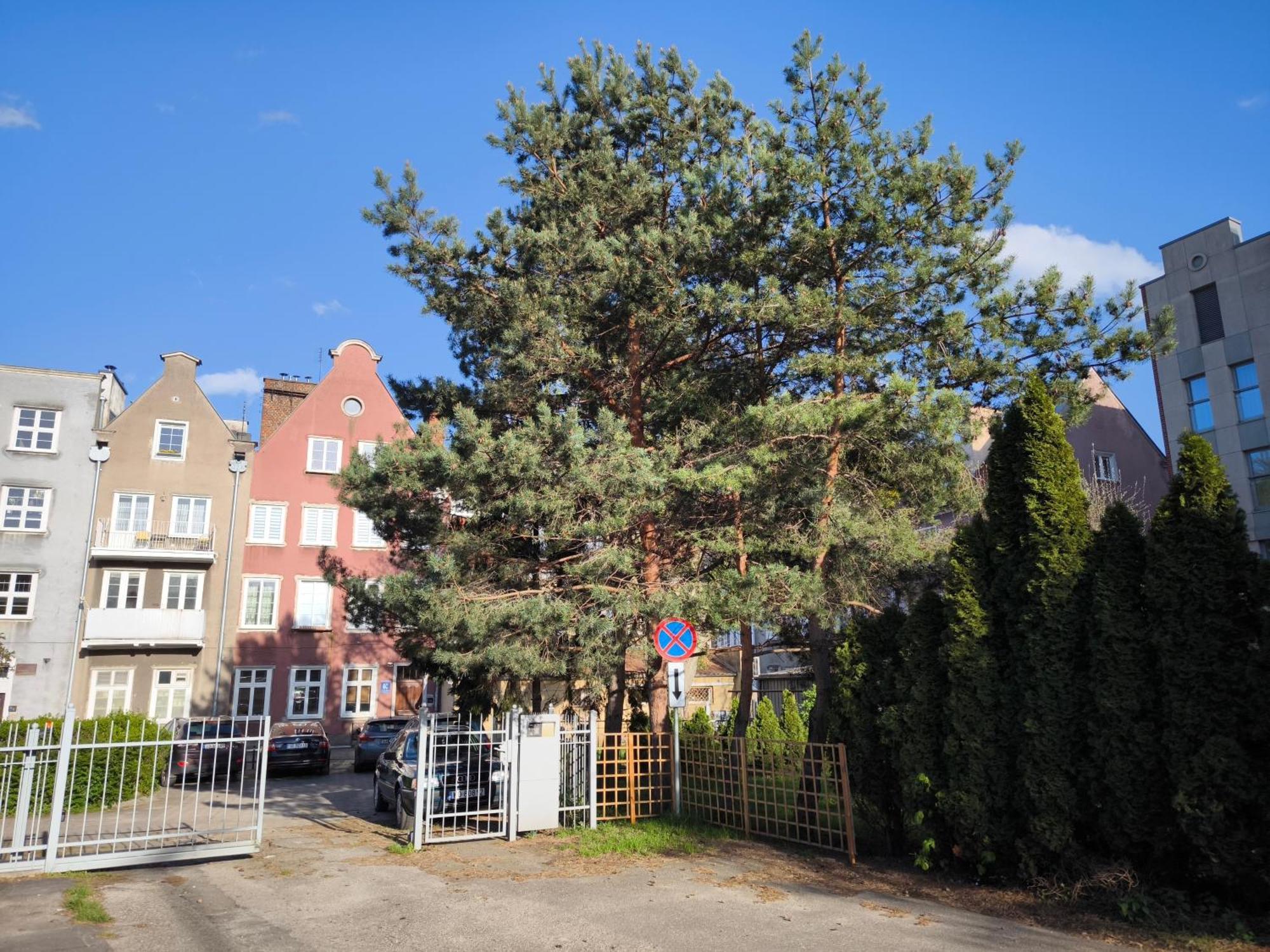 Central Apartments Fishmarkt & Parking グダニスク エクステリア 写真